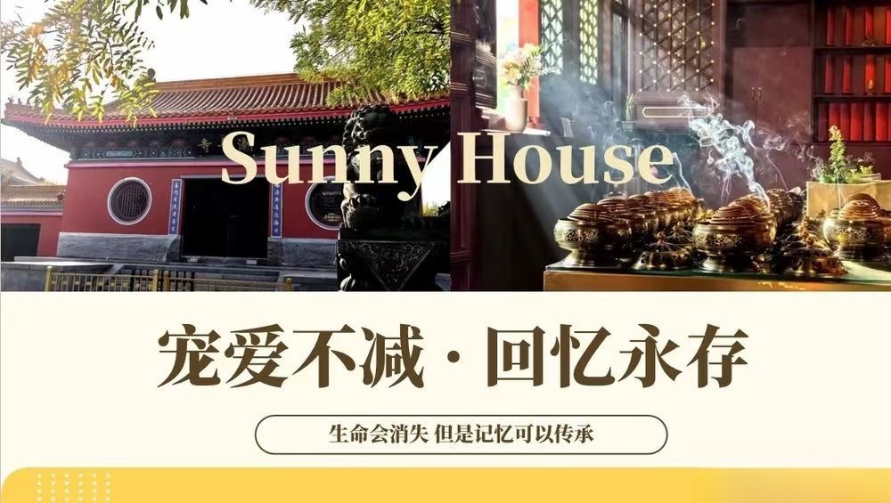 滨海暖阳宠物善终火化