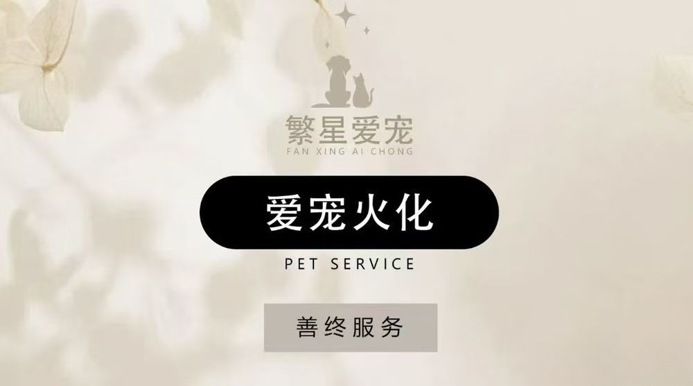 南开繁星爱宠宠物殡葬火化善终