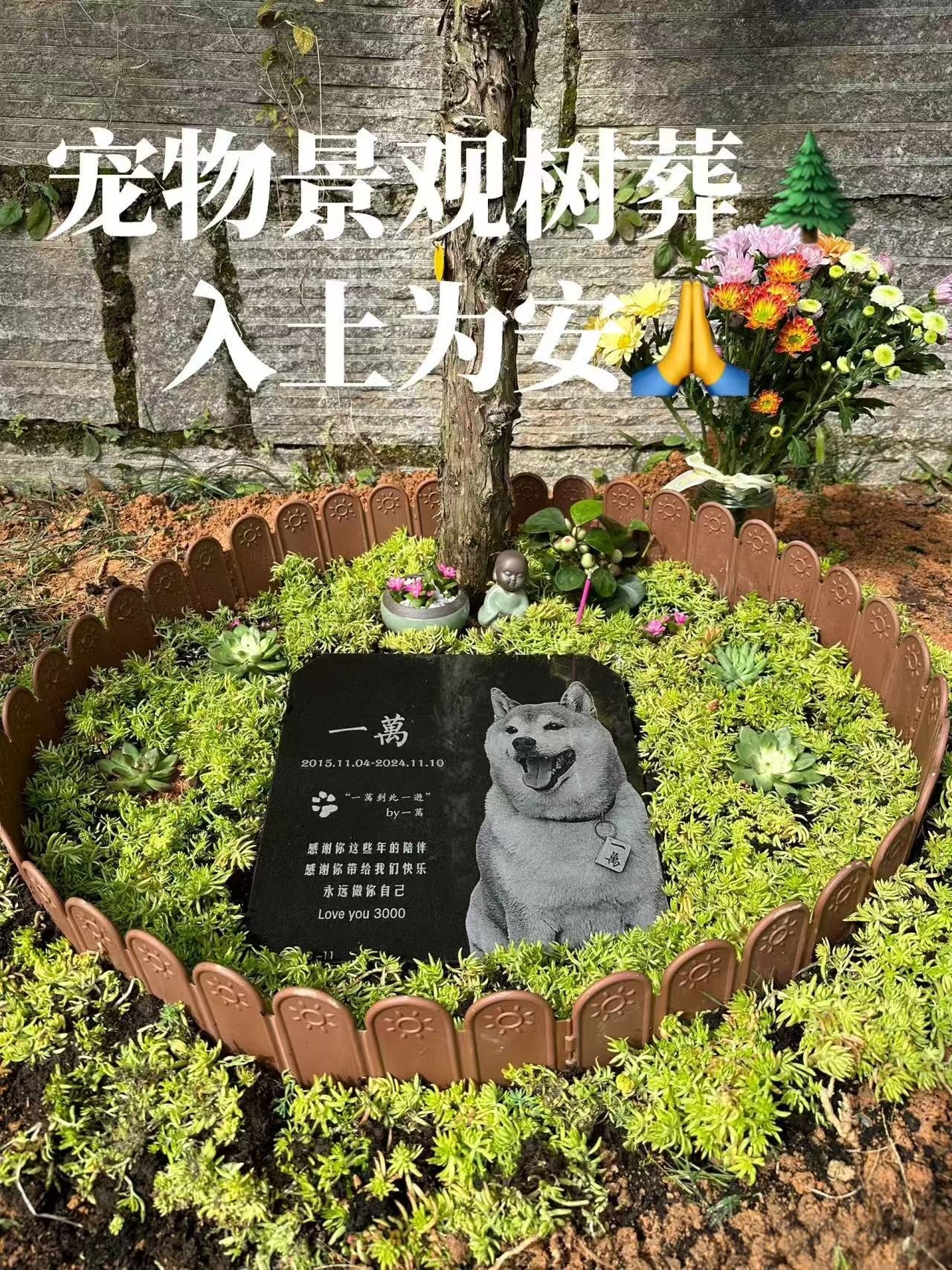 微信图片_20250427152846.jpg